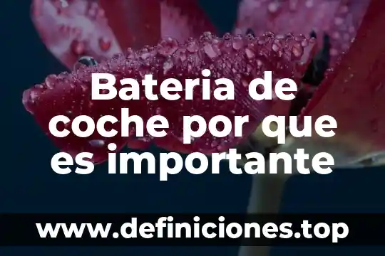 Por qué es importante reconocerte y reconocer a otras personas 6 Bateria de coche por que es importante