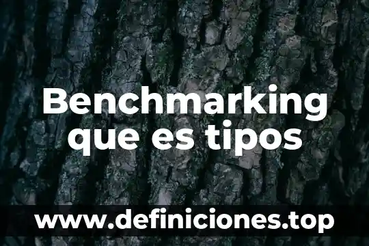 Qué es habilidad y sus tipos 3 Benchmarking que es tipos