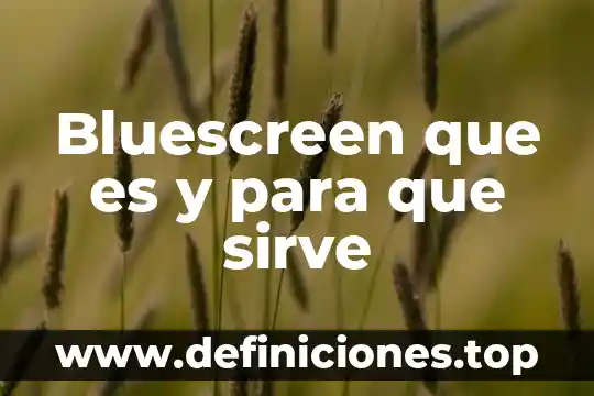 Que es y para que te sirve seleccionar hojas excel 7 Bluescreen que es y para que sirve