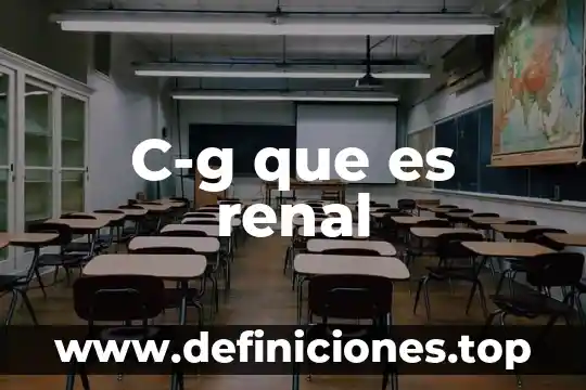 Que es pelvi renal y funcion 4 C-g que es renal