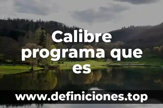 Calibre programa que es