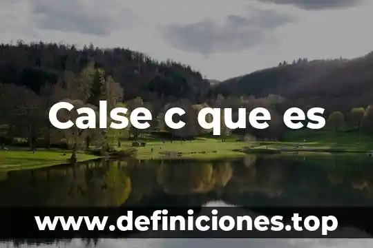 Calse c que es