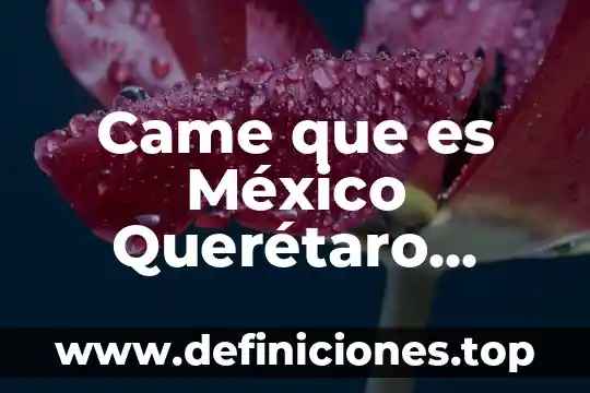 Qué es el fotoperiodismo en México 7 Came que es México Querétaro Hidalgo