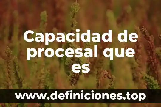 Que es la jactancia procesal 7 Capacidad de procesal que es