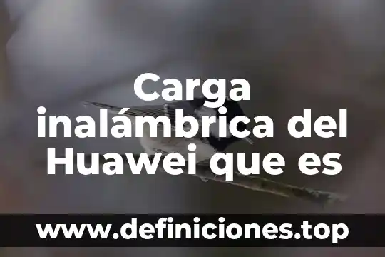 Que es la red inalámbrica de área amplia 6 Carga inalámbrica del Huawei que es