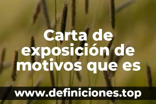 Que es otorgante carta poder 6 Carta de exposición de motivos que es