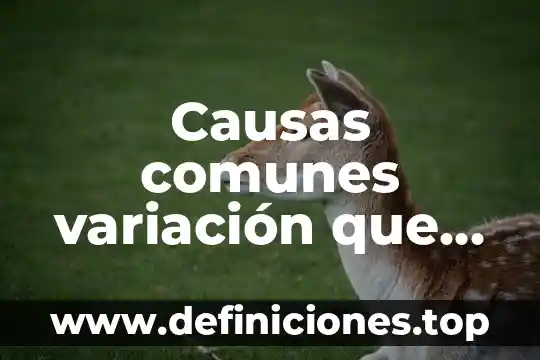 Que es nombres propios y comunes 5 Causas comunes variación que es