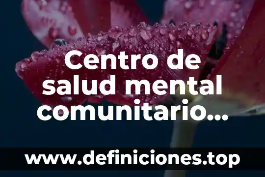 Centro de salud mental comunitario que es
