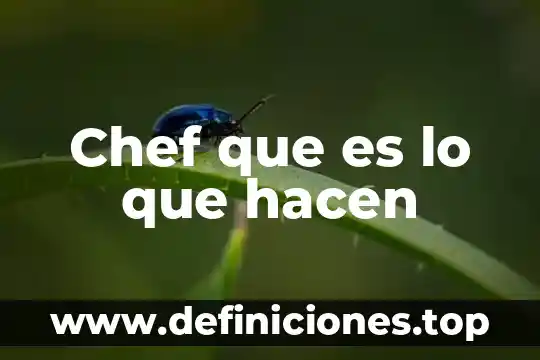 Que es lo que hacen los dentistas 5 Chef que es lo que hacen