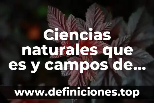 Qué es vulcanismo en ciencias naturales 8 Ciencias naturales que es y campos de estudio