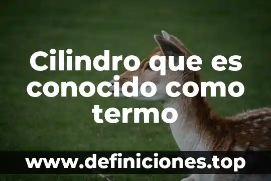 Cilindro que es conocido como termo