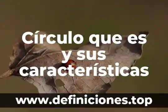 Que es un guion caracteristicas 6 C铆rculo que es y sus caracter铆sticas