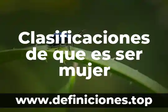 Clasificaciones de que es ser mujer