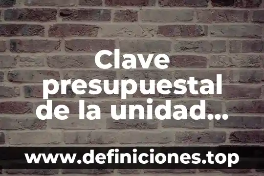Que es la unidad de diskette 6 Clave presupuestal de la unidad IMSS que es