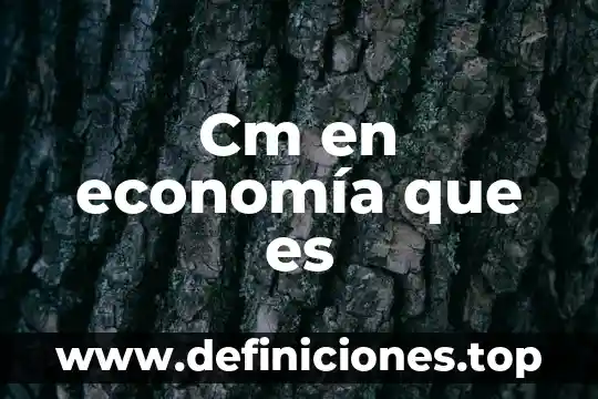 Libros que es la economia 7 Cm en economía que es