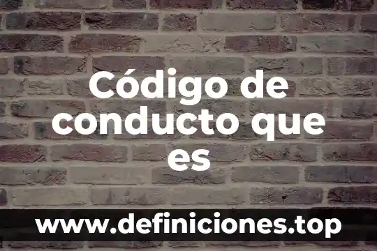 Código de conducto que es