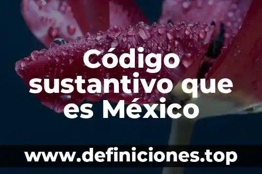 Que es el codigo de referencia en una transferencia banorte 7 Código sustantivo que es México