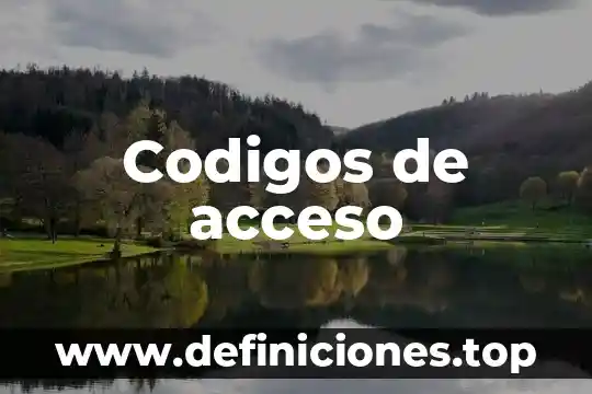 Codigos de acceso