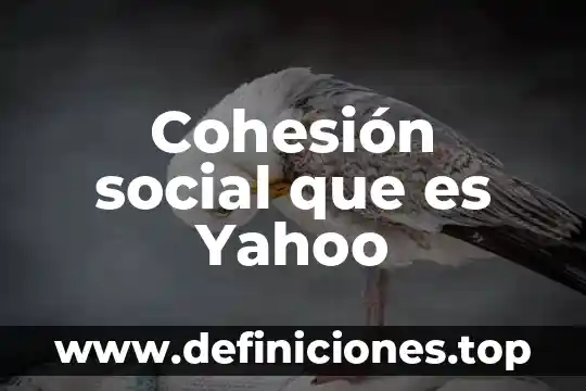 Cohesión social que es Yahoo