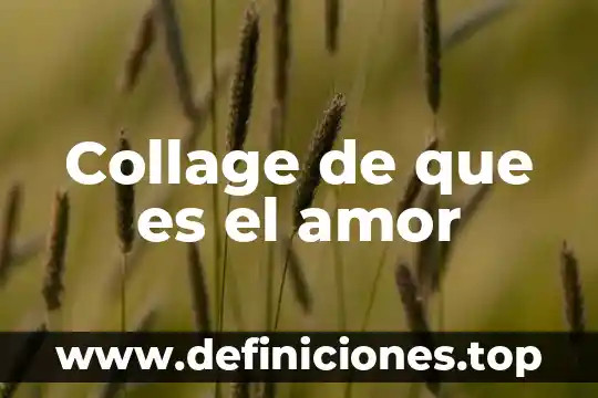 Sabes que es el amor 3 Collage de que es el amor
