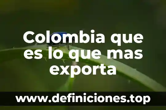Que es lo que mas exporta jalisco 8 Colombia que es lo que mas exporta