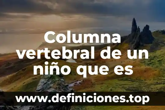 Que es salud en un niño 6 Columna vertebral de un niño que es