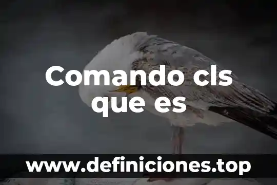 Que es un modelo o enfoque 5 Comando cls que es