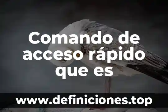 Qué es más rápido que la luz o el sonido 4 Comando de acceso rápido que es