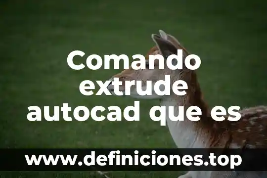 Qué es meridionales significado 5 Comando extrude autocad que es