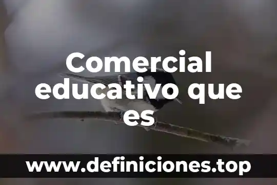Comercial educativo que es