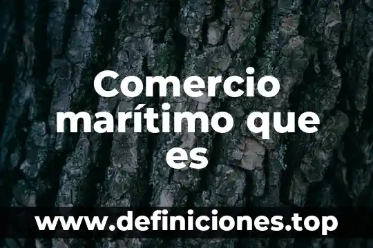Qué es un transporte marítimo concepto 4 Comercio marítimo que es