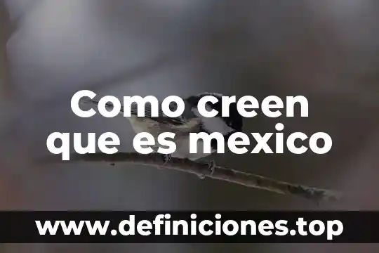 Que es una pecera en mexico 4 Como creen que es mexico