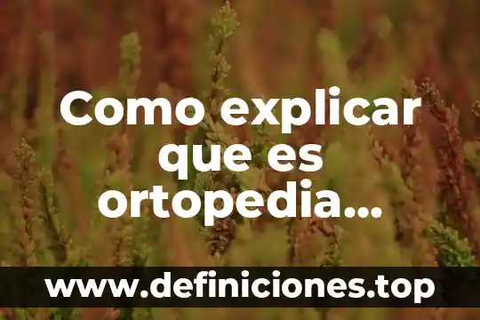 Qué es el mobiliario anexo a la unidad dental 8 Como explicar que es ortopedia dental en una pagina web