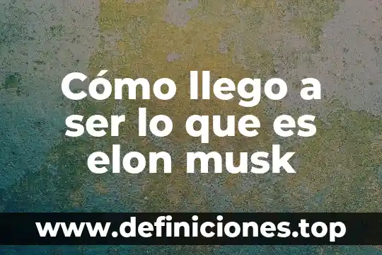 Cómo llego a ser lo que es elon musk