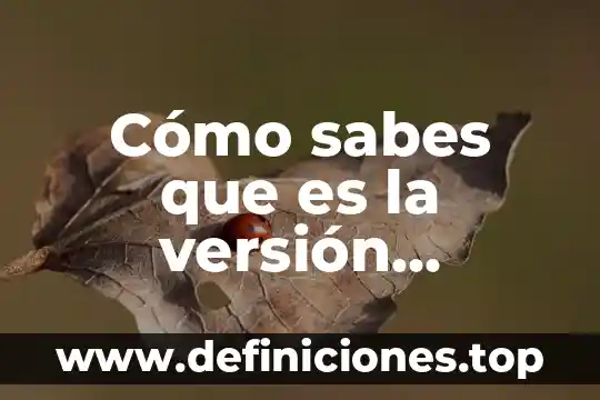 Adobe de caliche que es 6 Cómo sabes que es la versión original de Adobe