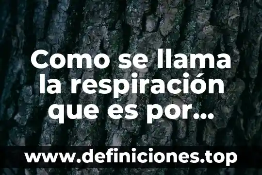Que es la respiracion su importancia 6 Como se llama la respiración que es por ventilación mecánica