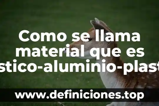 Qué es el material petg 7 Como se llama material que es plastico-aluminio-plastico
