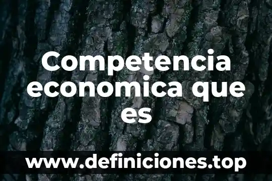 Que es componentes de la estructura economica 8 Competencia economica que es