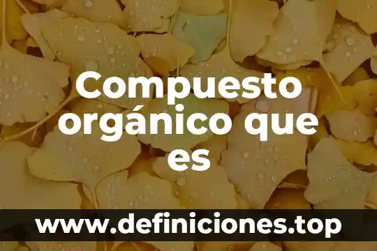 Compuesto orgánico que es