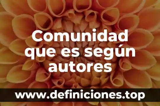 Que es la quimica segun autores 6 Comunidad que es según autores