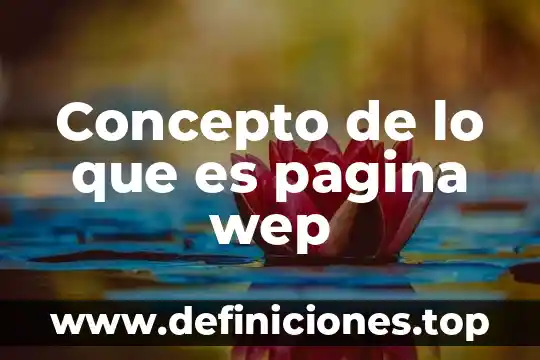 Que es concepto de variable 6 Concepto de lo que es pagina wep