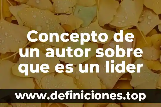 Qué es lo más importante de un buen líder 4 Concepto de un autor sobre que es un lider