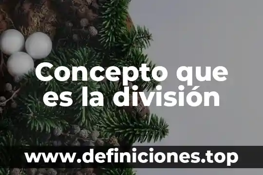 Concepto que es la división