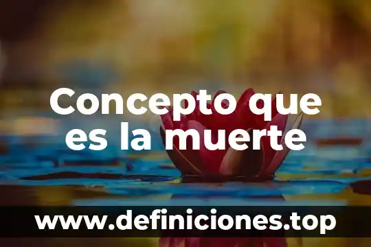 Concepto que es la muerte