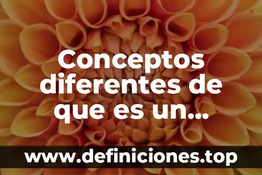 Conceptos diferentes de que es un documento fuente