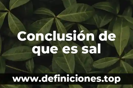 Conclusión de que es sal