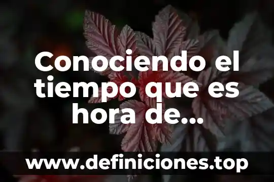 Qué es el tiempo compuesto en inglés 7 Conociendo el tiempo que es hora de levantarnos