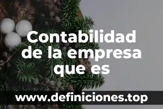 Que es planear en una empresa 6 Contabilidad de la empresa que es