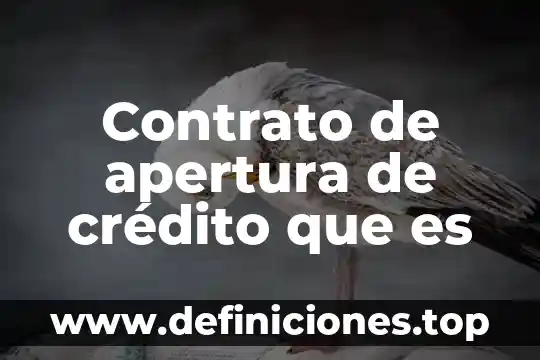 Que es kde de educacion 7 Contrato de apertura de crédito que es