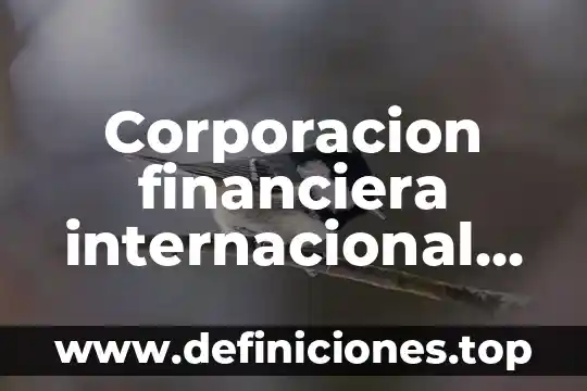 Que es eficencia financiera en contabilidad 4 Corporacion financiera internacional que es